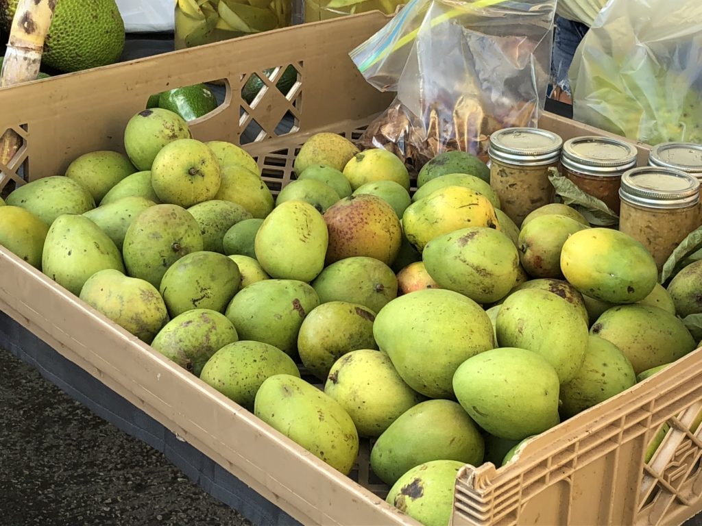 Mangoes, Mango Festival, Mango, Guam, Agat,